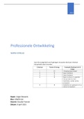 Social Work (2e jaar): Periode 3