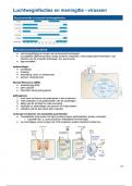 Samenvatting "ziekmakend vermogen" -  Infectieziekten 2 (deel B)