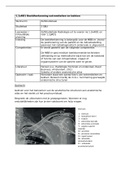 radiodiagnostiek periode 2