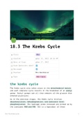 A Level Biology OCR A - The Krebs Cycle (18.3)