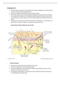 physiology of pain and pain modulation