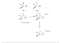 Carbene Analogues