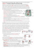 Samenvatting Molecular Biology of The Cell 6e editie: Hoofdstuk 12, 13, 15, 17, 18, 19, 20 en 22