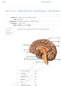 ALL BIOLOGY  LABARATORY PRACTICAL EXAMS {SOLVED} / BUNDLED Lab Exercises with 100% Answers.