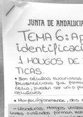 Tema 7 Microbiología