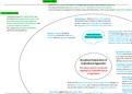 A* AQA A Level Psychology Situational Explanation of Institutional Aggression, 7181/7182