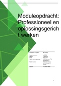 Professioneel en oplossingsgericht werken moduleopdracht