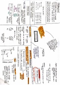 Condensed Matter Physics  Key Topic Summaries - Revision 