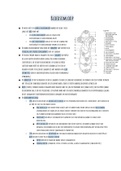 Biologie samenvatting over bloedsomloop, gaswisseling en uitscheiding, 6vwo Biologie