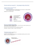 Samenvatting Leerpad A, Theorie Skilled Companionship & geschiedenis van de verpleegkunde + Leerpad D - anatomie hoofdstuk 1 & 3 