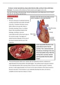 NURSING 202 Perfusion Notes