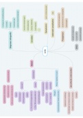 Schema beleid IUVD