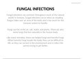 fungal infection