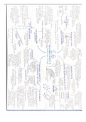 AQA GCSE Chemistry: Paper 2 mind maps covering all topics (C6-10)