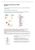 Samenvatting  Biologie Thema DNA vwo5