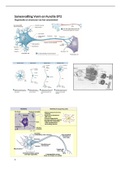 Samenvatting Vorm en functie Anatomie Deeltentamen 2