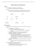 Samenvatting RZL (2020_2021)