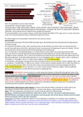 Exam (elaborations) COMPLEX CR NR 341 Critical care exam 2 personal notes  Ch 12 – Cardiovascular alterations