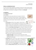 Tema 2: la neuroglia