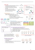 Year 1 Semester B Complete Lecture Notes