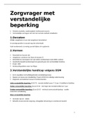 samenvatting personen met verstandelijke beperking