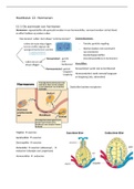 NECTAR 5vwo hoofdstuk 12: hormonen