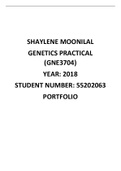 GNE3704 Practical Portfolio