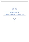 Schema's: straf- en strafprocesrecht