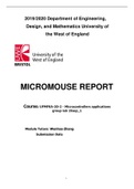 MICROMOUSE REPORT