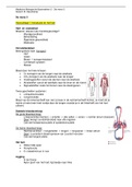 Samenvatting De mens 3 - Propedeuse Medische Biologische Basisvakken 2