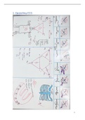 ECG basis principes en voorbeelden van de frequenste aandoeningen