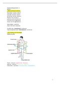 Samenvatting alle vakken periode 1.1 Fontys fysiotherapie