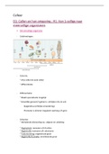 Samenvatting Celleer D1-3 + bioregulatie