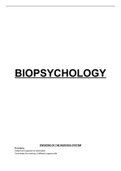 AQA A-Level Psychology: Biopsychology. Full topic notes
