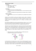 Zelfstudie 4 Moleculaire Biologie: translatie 