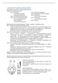 Samenvatting TH Neurokine 1