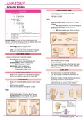 Class ANATOMY [Articular system]