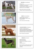 Flashcards voor hondenrassen (groep 10)