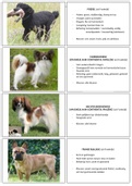 Flashcards van hondenrassen (groep 9)
