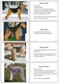 Flashcards van hondenrassen (groep 3)