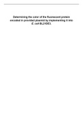 Biochemistry practical: Determining the color of the fluorescent protein encoded in provided plasmid by implementing it into E. coli BL21DE3.
