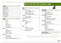 Complete Table of Lower Limb Muscles with Pictures