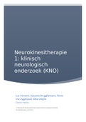 Neurokinesitherapie 1: klinisch neurologisch onderzoek - theorie