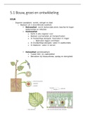  Biologie voor jou VWO 5 Hoofdstuk 5 Planten [Samenvatting]