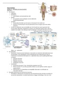 Samenvatting colleges neurofysiologie leerjaar 2 - periode 1