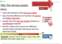 Three Lesson Nervous System