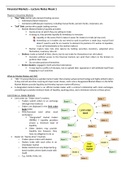 UvA Msc. Finance Financial Markets Full Summary (incl. All Articles and Lectures)