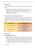 Ramificaciones de la aorta abdominal. Descripción anatómica del hígado 