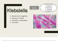 KLEBSIELLA- BACTERIOLOGÍA 