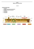 Summary  Newest Bios 256 Midterm Exam Review Packet-1